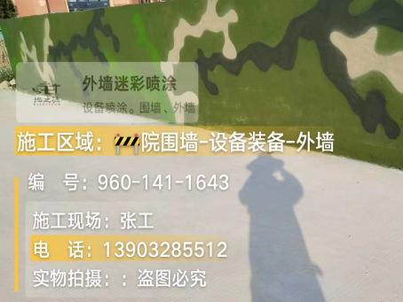 六安 迷彩漆喷涂价格（按平方米计费）