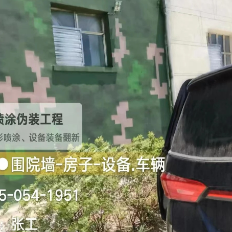 六安数码迷彩漆施工